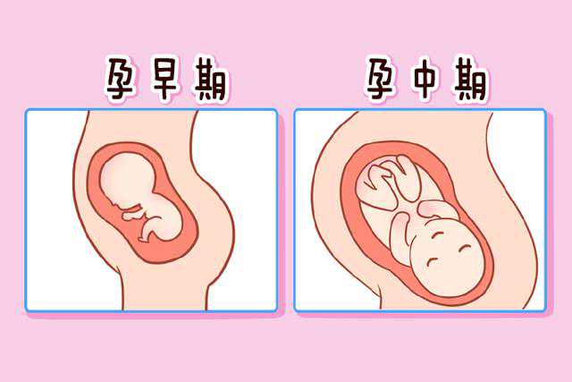上海供卵试管10名医院排行榜！供卵试管婴儿费用预估