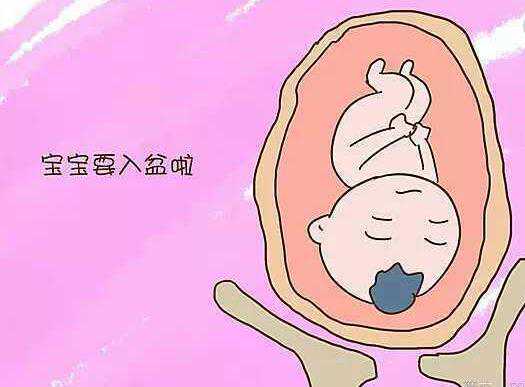 找上海代孕女人，上海哪家医院有着正规精子库？上海正规精子库去哪找？